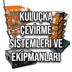 Kuluçka Çevirme Sistemleri ve Ekipmanları