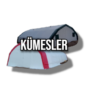 Kümesler