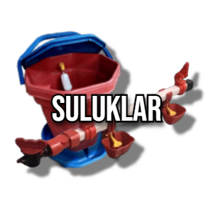 Suluklar